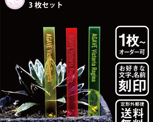 34a2e3d9d642827bb719f242ad0750