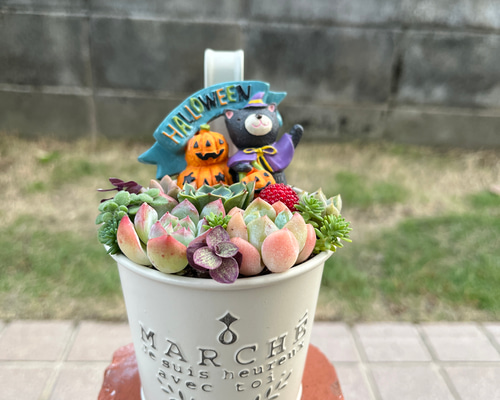 b342b509be19443102700143fee576