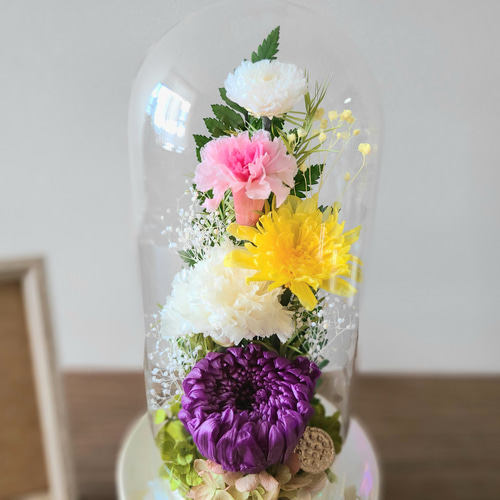 送料無料】豪華な彩りガラスドーム仏花(大)/プリザーブドフラワー