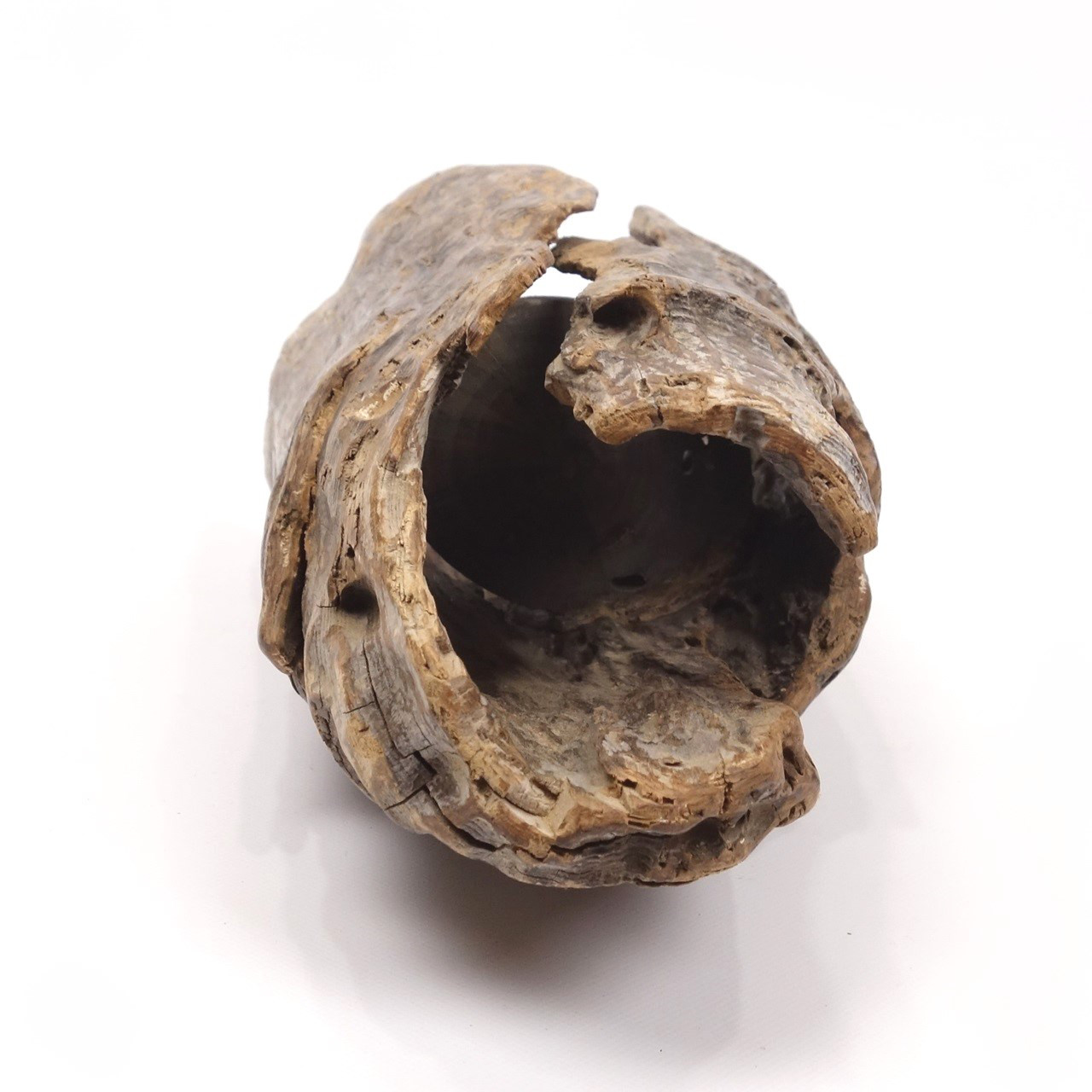 【温泉流木】くりぬかれた上質幹流木の吊り式花器 木製 流木インテリア