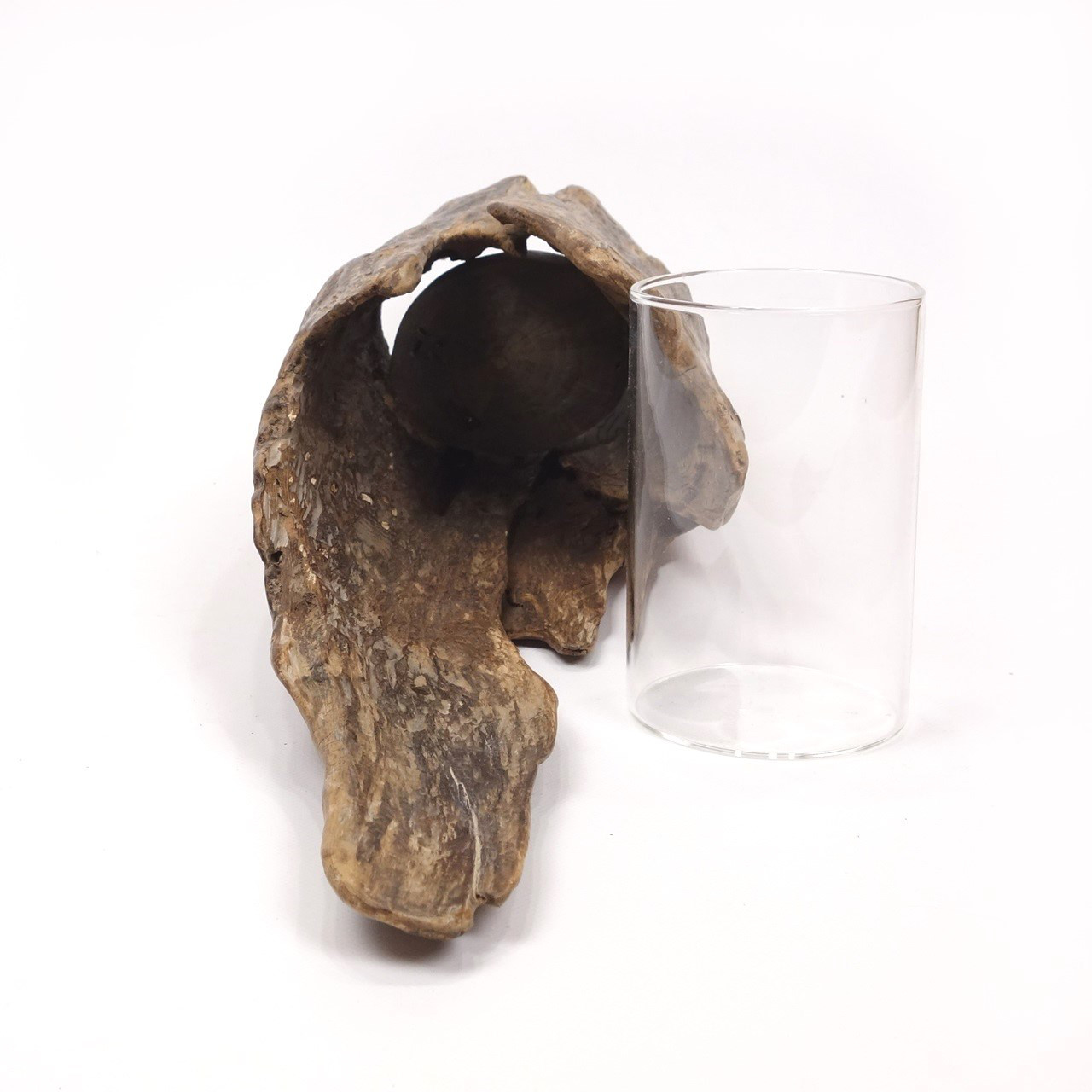 【温泉流木】くりぬかれた上質幹流木の吊り式花器 木製 流木インテリア