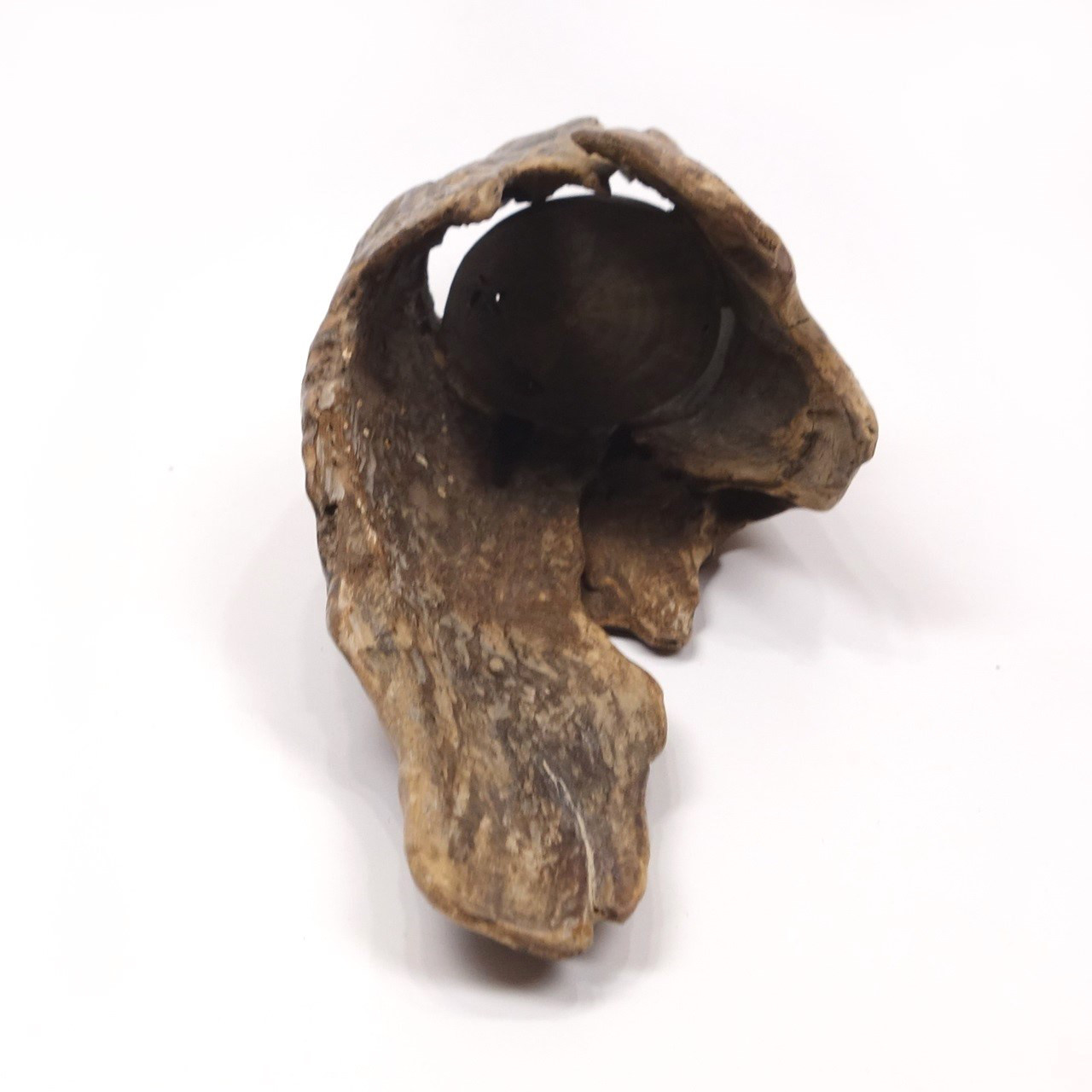 【温泉流木】くりぬかれた上質幹流木の吊り式花器 木製 流木インテリア