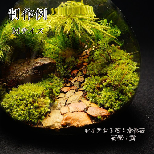 制作キット】【石畳が作れる】LEDライト付ボトルテラリウム プレゼント
