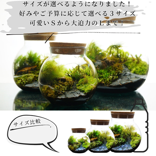 制作キット】【石畳が作れる】LEDライト付ボトルテラリウム プレゼント