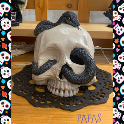 faec1da77250144e8e0ec541029e59