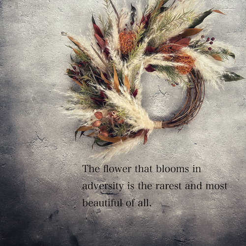 パンパスグラスの秋色リース:ドライフラワーリース リース 花うさぎと