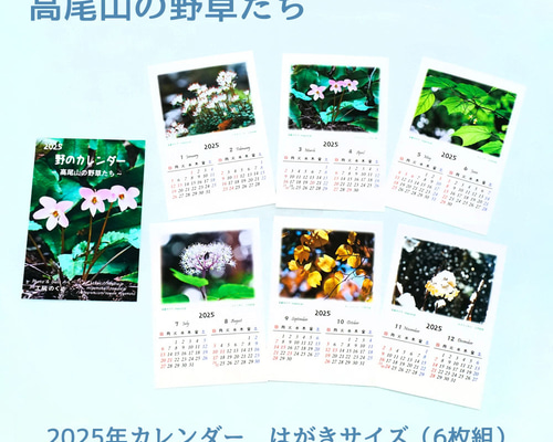 高尾山の野草たち＞ 2025年 はがきサイズ 卓上カレンダー カレンダー