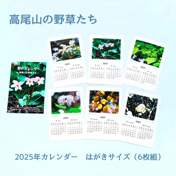 高尾山の野草たち＞ 2025年 はがきサイズ 卓上カレンダー カレンダー