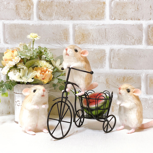 単品販売】マカロニちゃん *オブトアレチネズミ* (羊毛フェルト) 羊毛