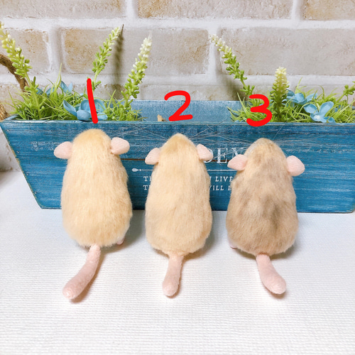 単品販売】マカロニちゃん *オブトアレチネズミ* (羊毛フェルト) 羊毛