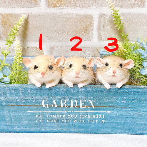 単品販売】マカロニちゃん *オブトアレチネズミ* (羊毛フェルト) 羊毛