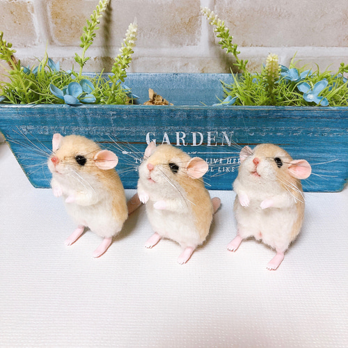 ♥️羊毛フェルト♥️ハムスターちゃん×4♪ ノーマル バンデッド柄 ゴールデンハムスター 羊毛フェルト 羊毛