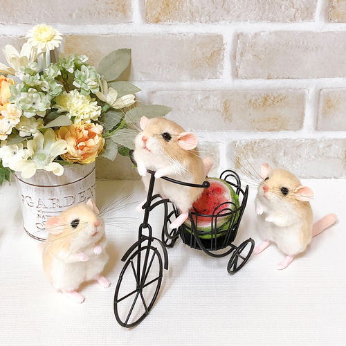 単品販売】マカロニちゃん *オブトアレチネズミ* (羊毛フェルト) 羊毛