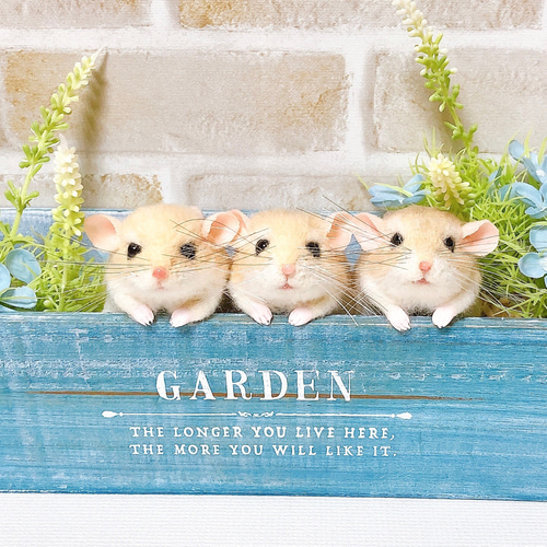 ♥️羊毛フェルト♥️ハムスターちゃん×4♪ ノーマルバンデッド お座りハムちゃん*ゴールデンハムスター* (羊毛