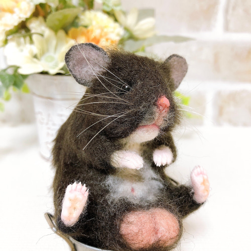 クロクマ お座りハムちゃん*ゴールデンハムスター* (羊毛
