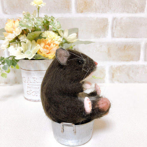 クロクマ お座りハムちゃん*ゴールデンハムスター* (羊毛フェルト