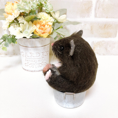 クロクマ お座りハムちゃん*ゴールデンハムスター* (羊毛フェルト