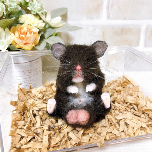 クロクマ お座りハムちゃん*ゴールデンハムスター* (羊毛フェルト