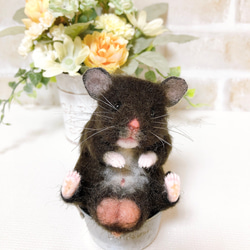 bf877b3676d2d4234e8ac625e43a94