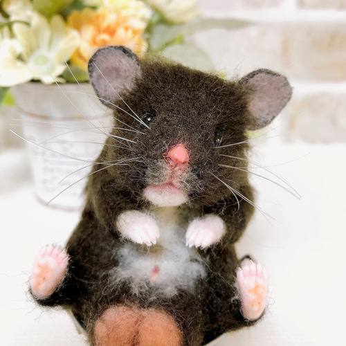 クロクマ お座りハムちゃん*ゴールデンハムスター* (羊毛フェルト