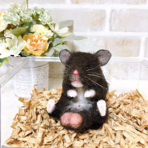 クロクマ お座りハムちゃん*ゴールデンハムスター* (羊毛フェルト