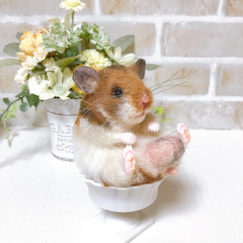 ノーマルバンデッド お座りハムちゃん*ゴールデンハムスター