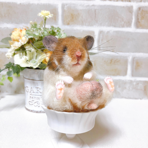 ノーマルバンデッド お座りハムちゃん*ゴールデンハムスター* (羊毛