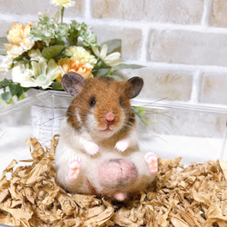 2b88f577d249682ef41ef5f687e19e