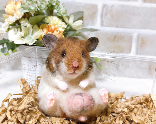 2b88f577d249682ef41ef5f687e19e