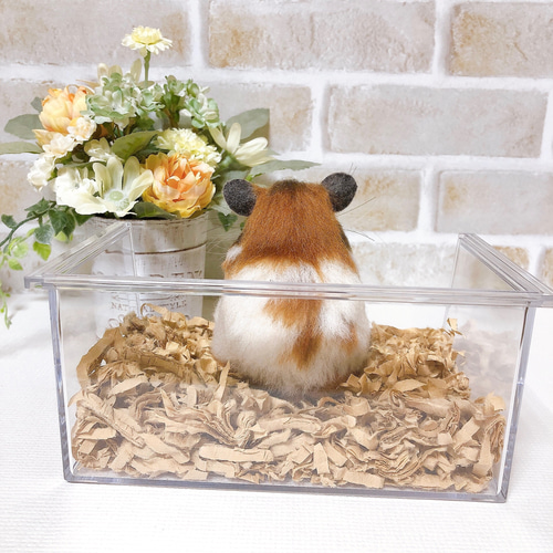 ノーマルバンデッド お座りハムちゃん*ゴールデンハムスター