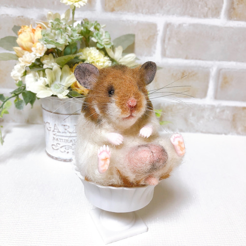 ノーマルバンデッド お座りハムちゃん*ゴールデンハムスター* (羊毛