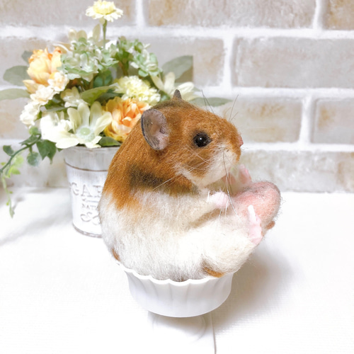 ノーマルバンデッド お座りハムちゃん*ゴールデンハムスター