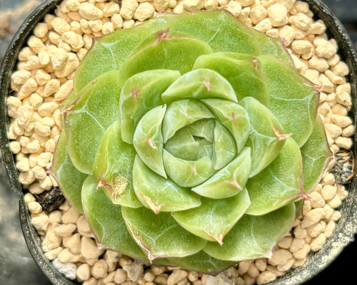 2f071f0936cc761287b5ef9c776157