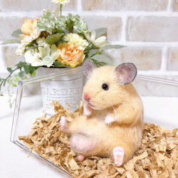 1773bf0ffc69e5d9cc844d84d287a5