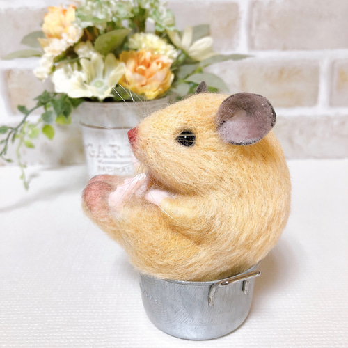 ②キンクマ お座りハムちゃん*ゴールデンハムスター* (羊毛