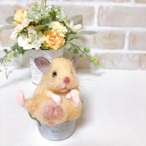 ②キンクマ お座りハムちゃん*ゴールデンハムスター* (羊毛フェルト