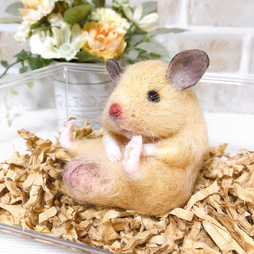 ②キンクマ お座りハムちゃん*ゴールデンハムスター* (羊毛フェルト