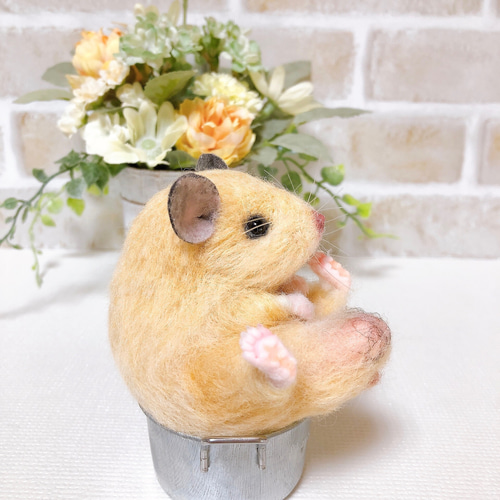 ②キンクマ お座りハムちゃん*ゴールデンハムスター* (羊毛フェルト