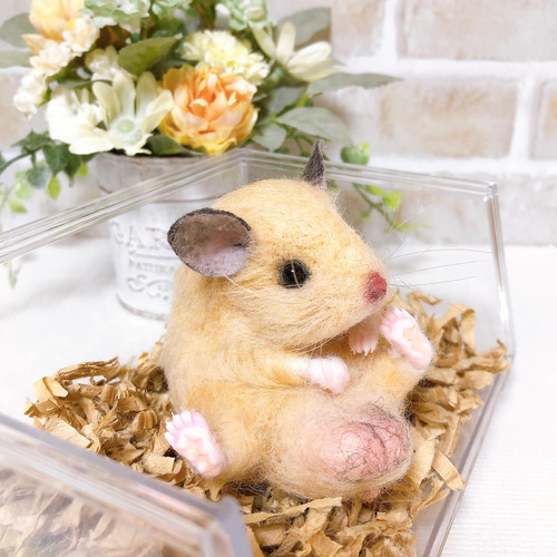 どっしりお座りキンクマハムスター◇羊毛フェルト はむタマ座布団♪お座りキンクマハムスター *羊毛フェルト* 羊毛