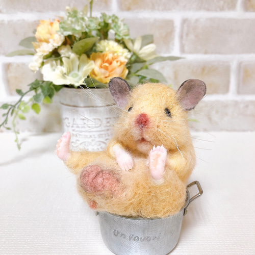 ②キンクマ お座りハムちゃん*ゴールデンハムスター* (羊毛