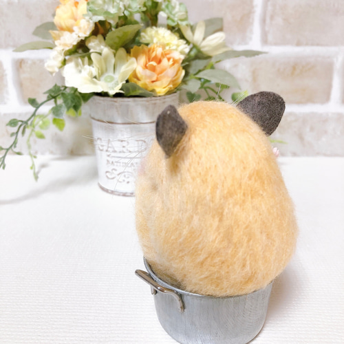 ②キンクマ お座りハムちゃん*ゴールデンハムスター* (羊毛