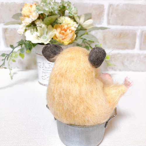 ②キンクマ お座りハムちゃん*ゴールデンハムスター* (羊毛