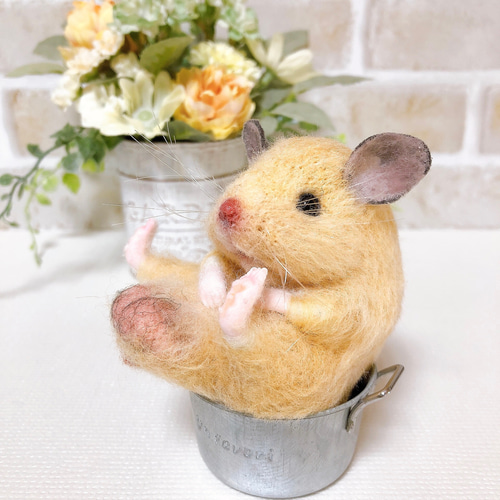 ②キンクマ お座りハムちゃん*ゴールデンハムスター* (羊毛