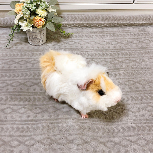 アビシニアンモルモット* 22cm (羊毛フェルト) 白×クリーム×黒