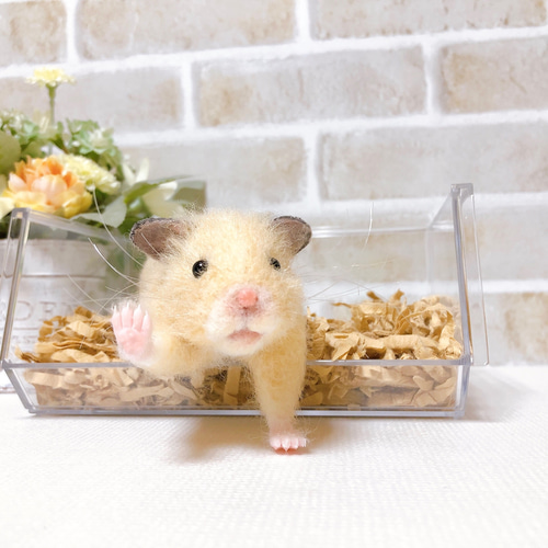 専用です ◇キンクマハムスター＆バナナ◇羊毛フェルト 羊毛フェルト キンクマハムスター - メルカリ