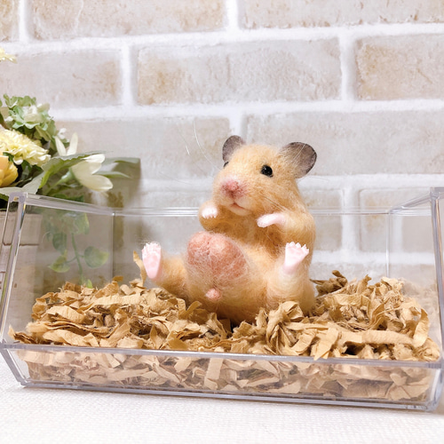どっしりお座りキンクマハムスター◇羊毛フェルト - メルカリ