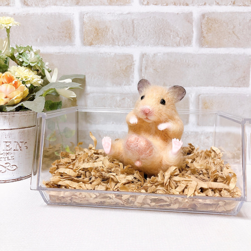 はむタマ座布団♪お座りキンクマハムスター *羊毛フェルト* 羊毛