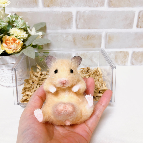 はむタマ座布団♪お座りキンクマハムスター *羊毛フェルト* 羊毛