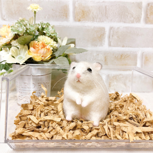 ②ジャンガリアンハムスター＆イチゴ◇羊毛フェルト イチゴもぐもぐ* 大福みたいなパールホワイト ジャンガリアン