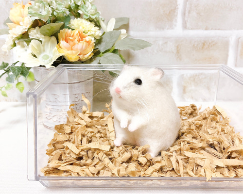 羊毛　ハムちゃん　orderページ パールホワイト *ジャンガリアンハムスター* (羊毛フェルト) 羊毛